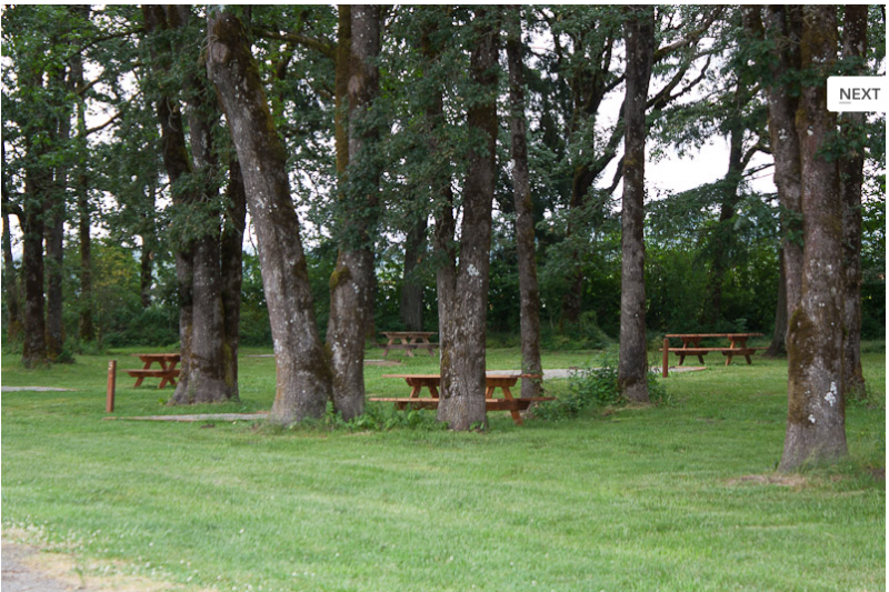 Harrison Rv Park Centralia, WA RV Parks