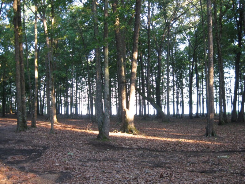 Lake Columbia RV Park Waldo, AR County / City Parks