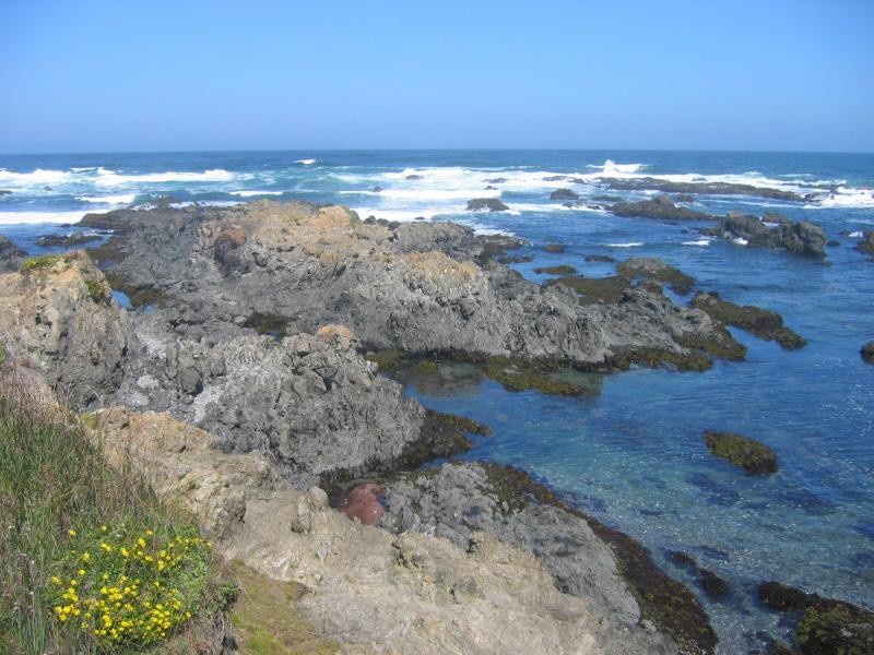 MacKerricher State Park - Fort Bragg, CA - California State Parks ...