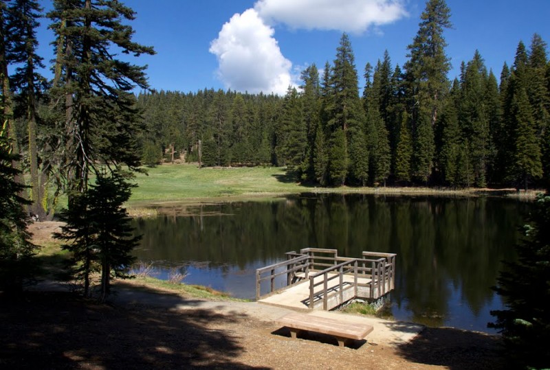 Plaskett Meadows Campground Mendocino National Forest Willows, CA