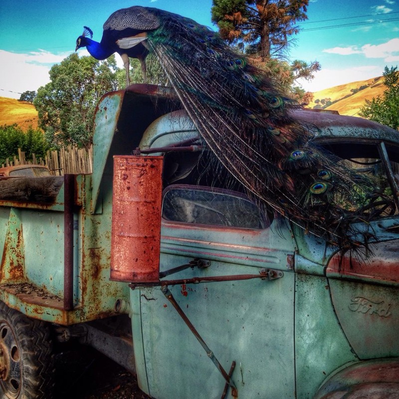 Casa de Fruta RV Park Hollister, CA RV Parks