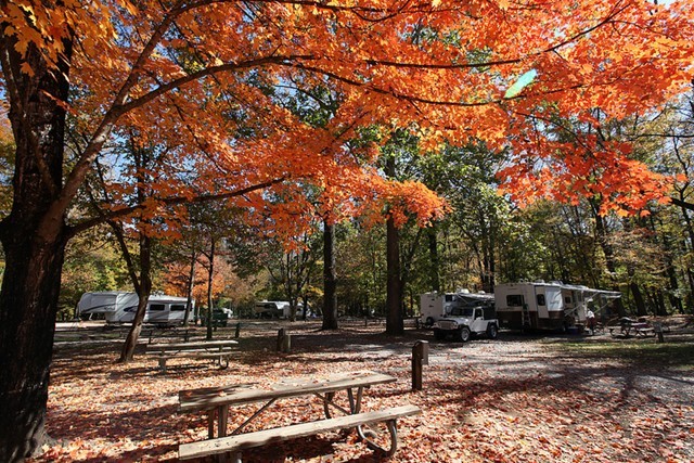 Niagara Falls KOA - Grand Island, NY - KOA - RVPoints.com