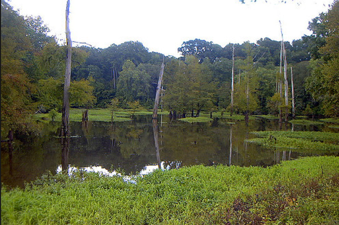 Leake County Water Park - Lena, MS - Mississippi State Parks - RVPoints