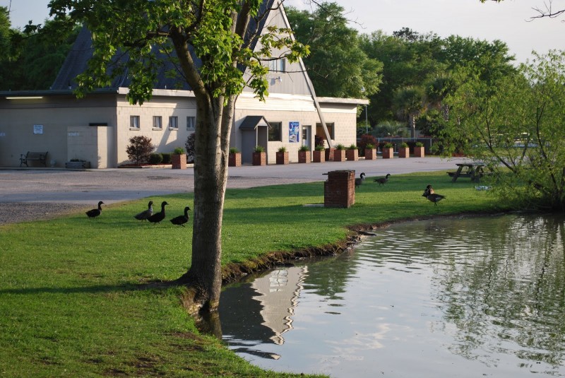 Yogi Bear's Jellystone Park CampResort Emporia Emporia, VA Yogi