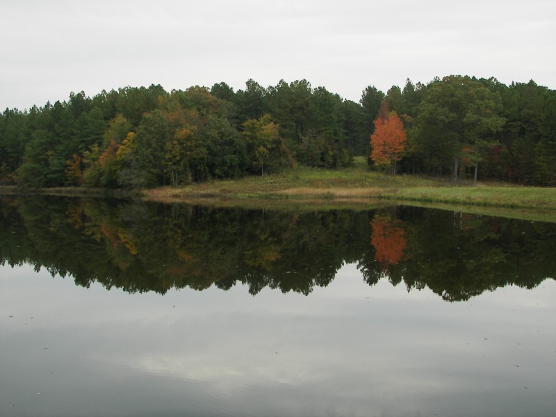 Staunton River State Park - Scottsburg, VA - Virginia ...