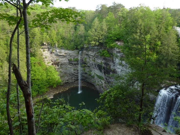 are dogs allowed at fall creek falls state park