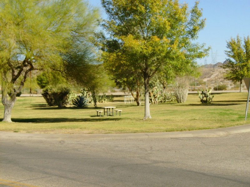 Davis Camp Park - Bullhead, AZ - County / City Parks