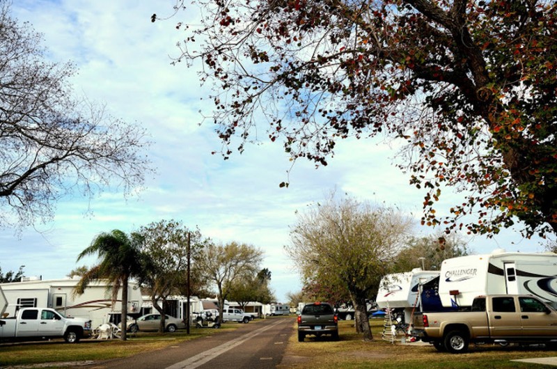 Fig Tree RV Resort Harlingen, TX RV Parks