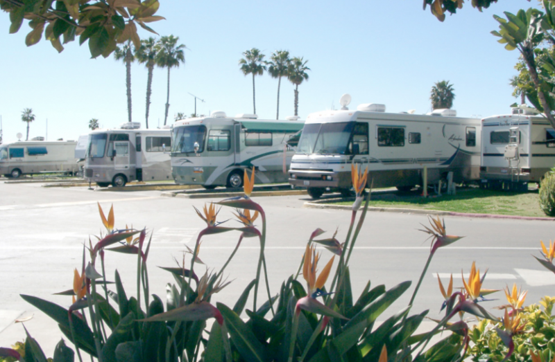 Campland On The Bay - San Diego, CA - RV Parks