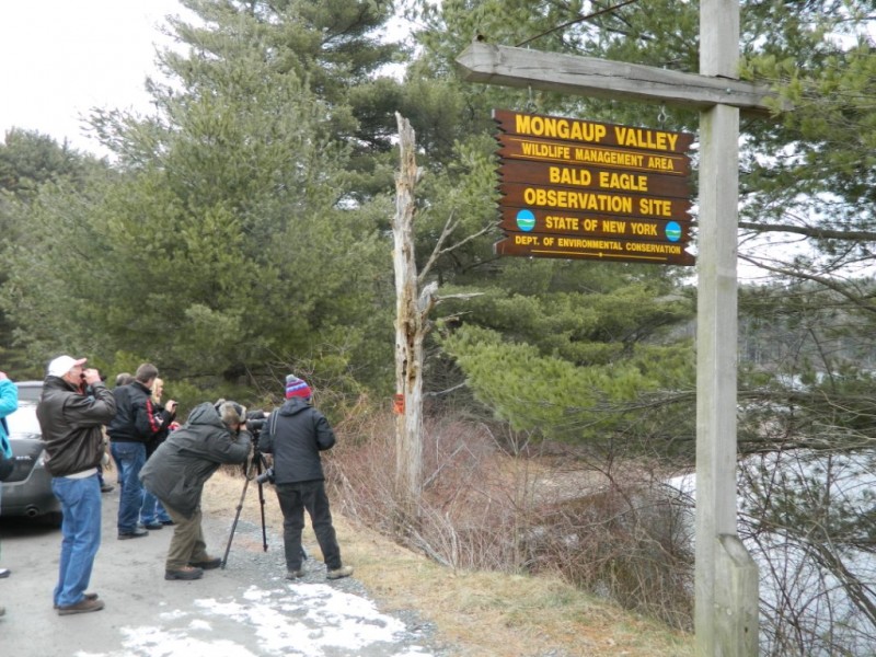 Swinging Bridge Lake Mongaup Valley Ny Rv Parks