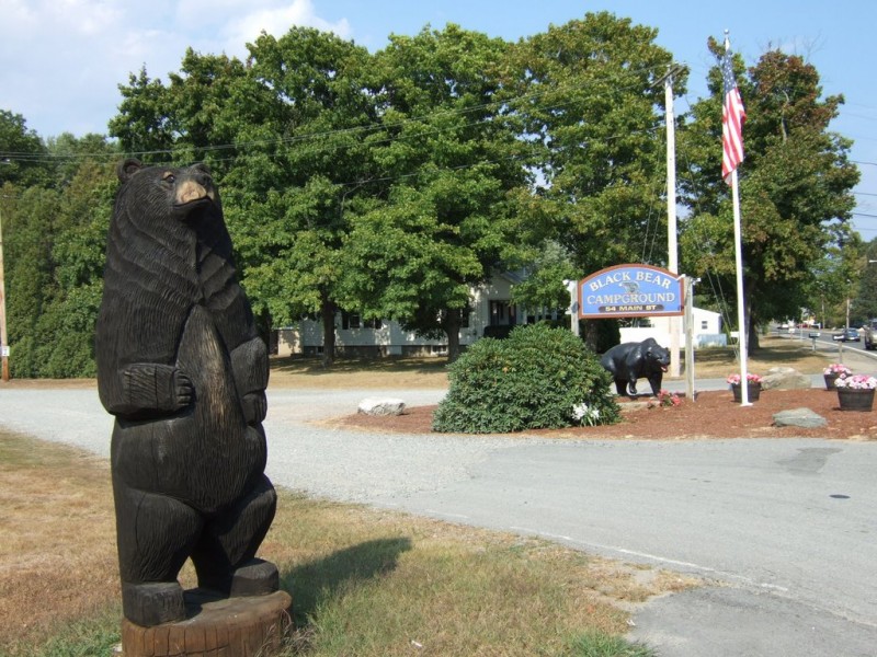 Black Bear Campground - Salisbury, MA - RV Parks