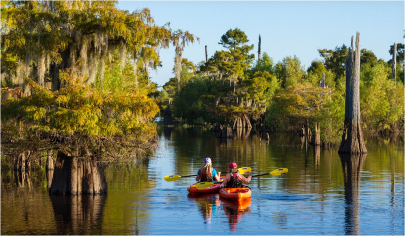 Dead Lakes Recreation Area - Wewahitchka, FL - County / City Parks ...