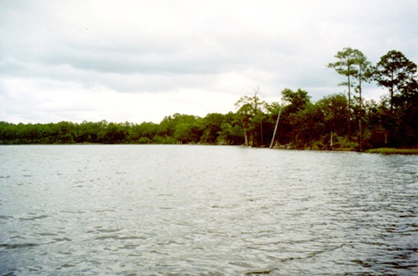 fred gannon rocky bayou state park - niceville, fl