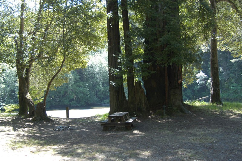 Gualala River Redwood Park - Gualala, CA - RV Parks