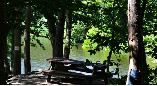 Melville Ponds Campground - Portsmouth, RI - RV Parks