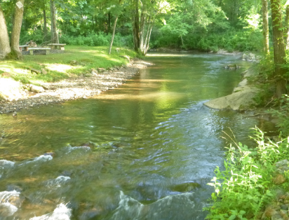 Cartoogechaye Creek Campground - Franklin, NC - RV Parks - RVPoints.com