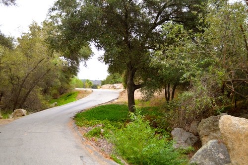 Lilac Oaks Campground - Valley Center, CA - RV Parks