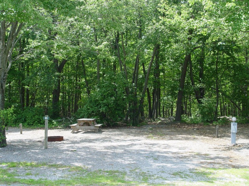 Pleasant Acres Farm Campground - Sussex, NJ - RV Parks