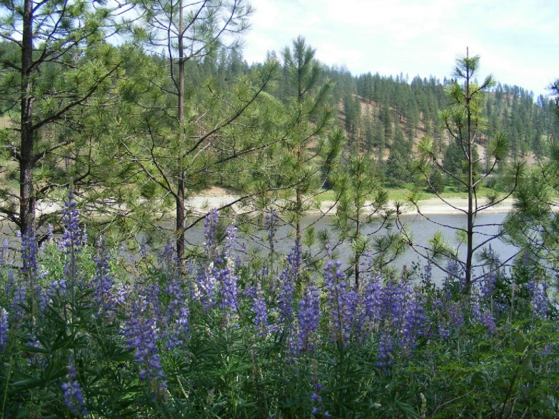 North Lake RV Park and Campground Kettle Falls, WA RV Parks