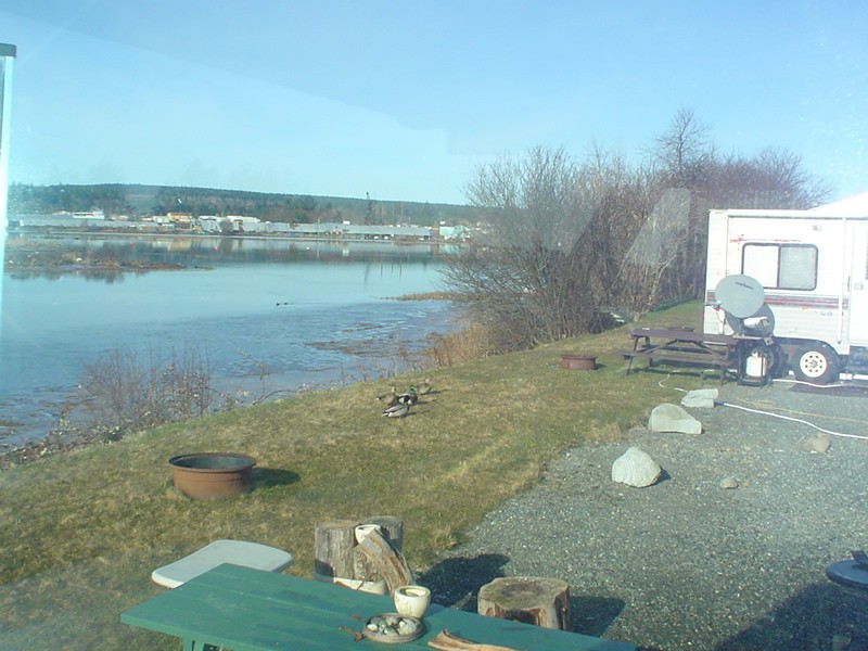 Thunderbird RV Park & Resort Campbell River, BC RV Parks Thunderbird RV Park & Resort Campbell River, BC RV Parks