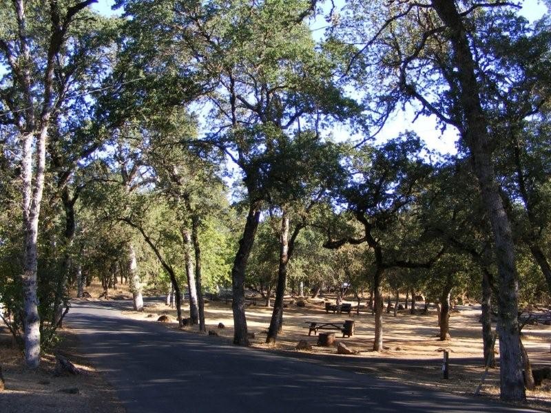 Clear Lake State Park Kelseyville, CA California State Parks