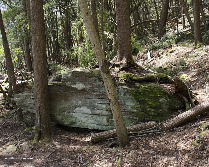 Swallow Falls State Park Map : Swallow Falls State Park Has A Scenic Waterfall Stairway - Southern trailhead and parking can be accessed along herrington manor road, in the dip approximately.5 miles north of herrington manor state park entrance.