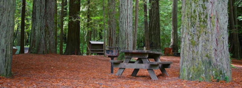 Giant Redwoods Rv & Camp - Myers Flat, CA - RV Parks