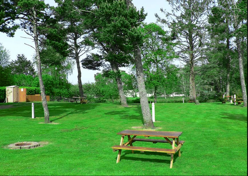 Evergreen Court & Trailer Park Ocean Park, WA RV Parks