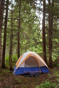 Spruce Meadow RV Park - Juneau, AK - RV Parks