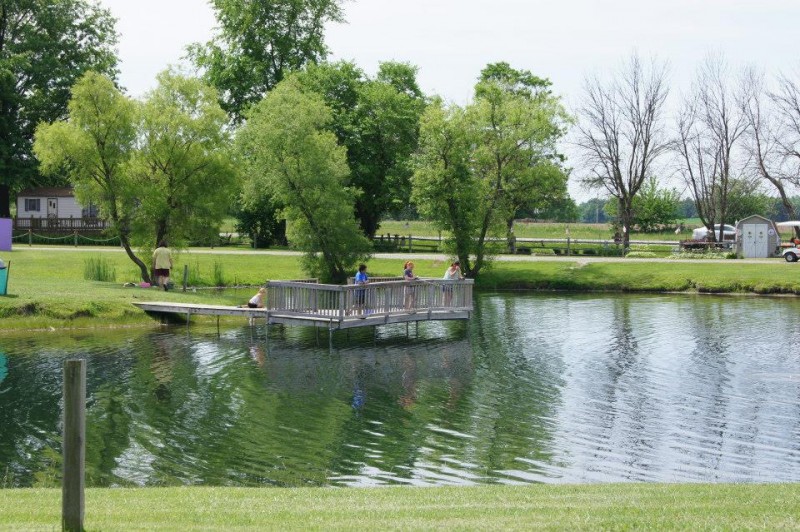 Plymouth Jellystone Park Plymouth, IN RV Parks