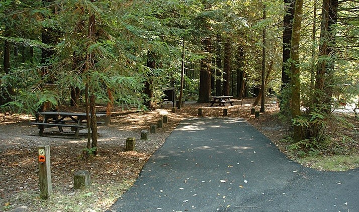 Grizzly Creek Redwoods State Park - Carlotta, CA - California State ...