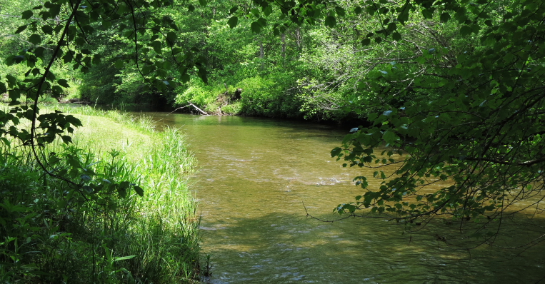 Cartoogechaye Creek Campground - Franklin, NC - RV Parks - RVPoints.com