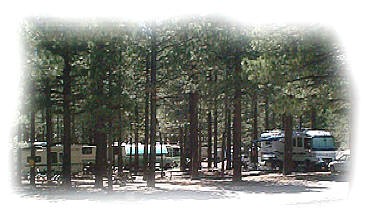 rv cliff pine resort lake june parks rvpoints views