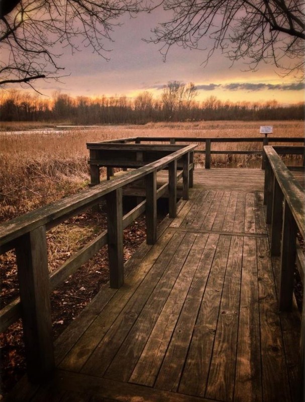 Escape to Paradise: Your Ohio Bayshore Estates Campground Adventure Awaits!