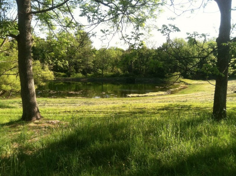 Escape to the Woods: Your Pennsylvania Family Adventure at Foxwood Campground