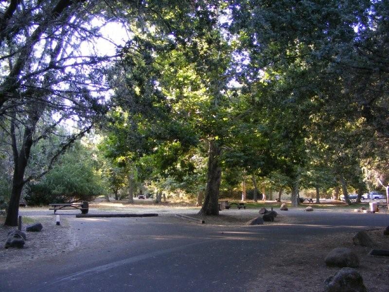 Clear Lake State Park Kelseyville, CA California State Parks