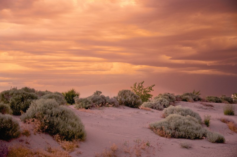 Horn Rapids RV Resort Richland, WA RV Parks