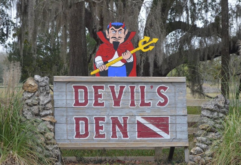 Devils Den Spring - Williston, FL - RV Parks
