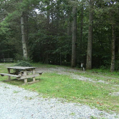 Honey Bear Campground - Boone, NC - RV Parks - RVPoints.com