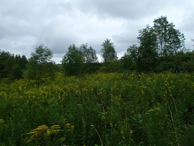Bass Lake Provincial Park Orillia, ON RV Parks