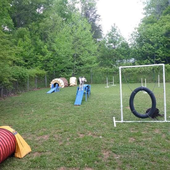 Four Paws Kingdom Campground Rutherfordton, NC RV Parks