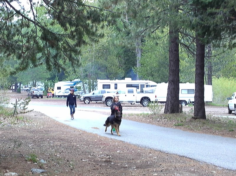 Cisco Grove Campground & Rv - Soda Springs , CA - RV Parks