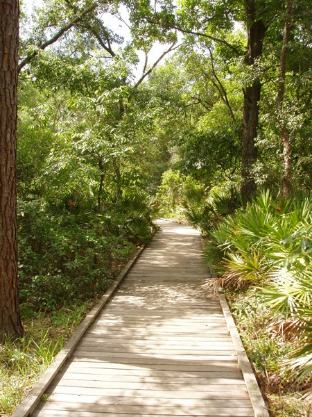 Lake Griffin State Park - Fruitland Park, FL - RV Parks - RVPoints.com