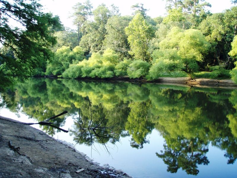 Cliffs of the Neuse State Park - Seven Springs, NC - North ...