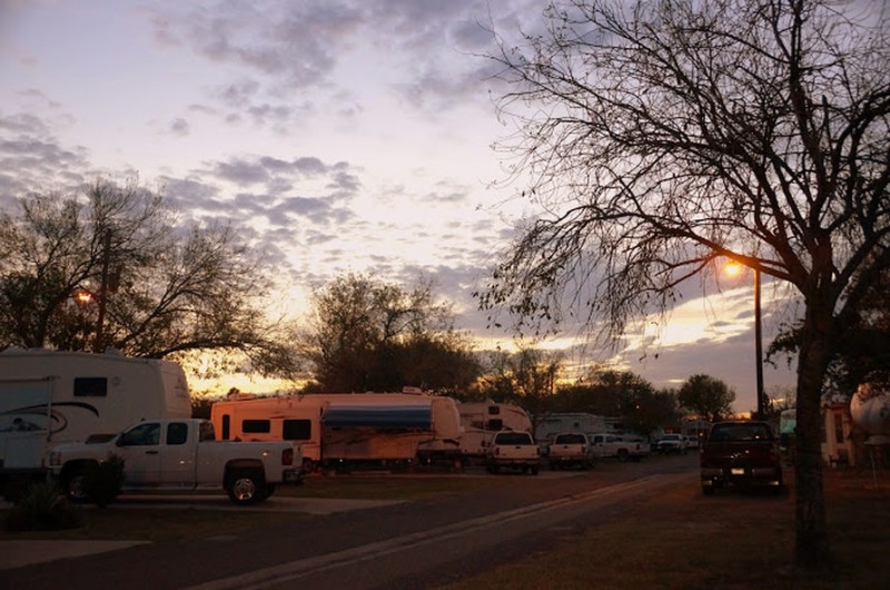 Fig Tree RV Resort Harlingen, TX RV Parks