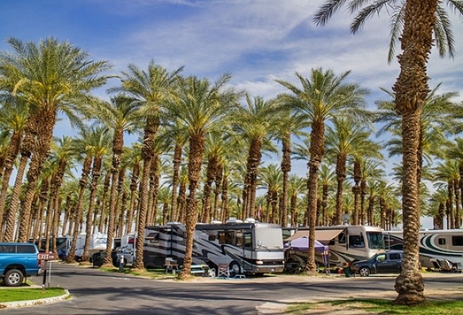 Palm Springs RV Resort - Palm Desert, CA - Thousand Trails Resorts