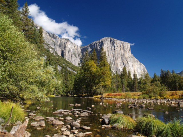 Yosemite Pines RV Park - Groveland, CA - RV Parks