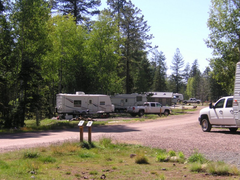 Apache Trout Campground Apache-Sitgreaves National Forest ...