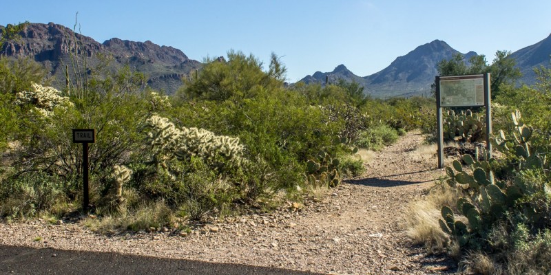 Gilbert Ray Campground - Tucson, AZ - County / City Parks - RVPoints.com