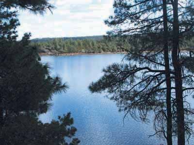 Show Low Lake Campground Lakeside Az County City